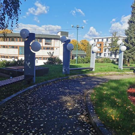 Apartment Ornament Lux Vrnjačka Banja Εξωτερικό φωτογραφία