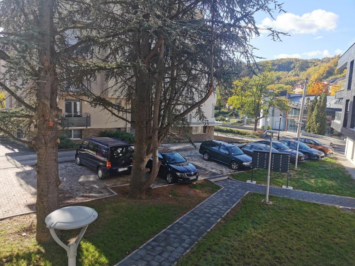 Apartment Ornament Lux Vrnjačka Banja Εξωτερικό φωτογραφία